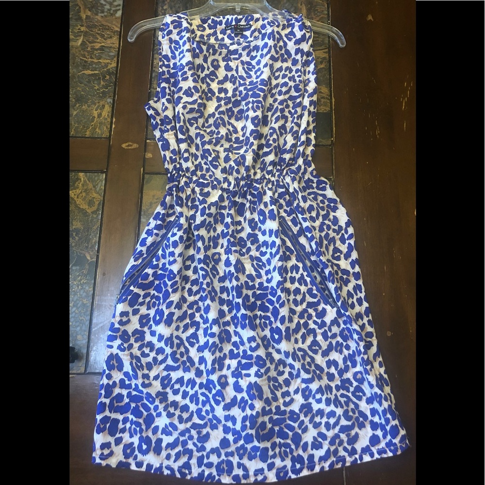 Animal Print Dress